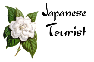 Japanese Tourist: A Unique Display Font for Crafters