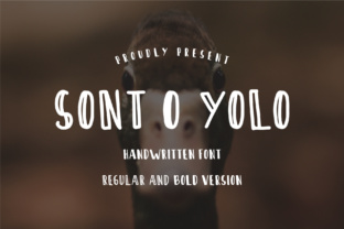 Sont O Yolo: A Bold Display Typeface for Modern Editorial Design